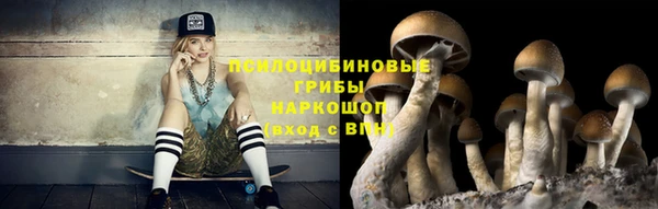 прущие грибы Абинск