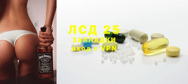 прущие грибы Абинск