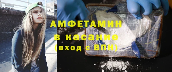 прущие грибы Абинск