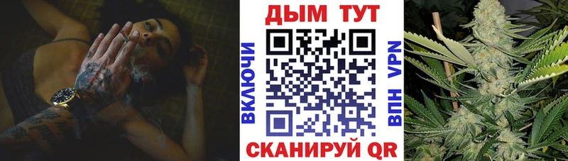 kraken   Пыталово  Бошки марихуана планчик 